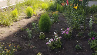 Их за 2 минуты лишат участка земли: всем, у кого участок в собственности - новое жесткое правило с 16 июля