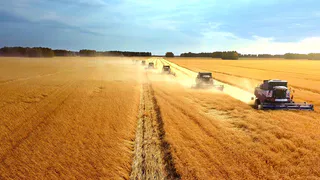 Россельхозбанк запускает новый лизинговый продукт на маркетплейсе «Свое Фермерство»