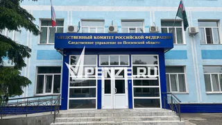 В порыве гнева жительница Бессоновки ударила ножом супруга