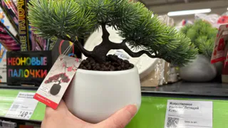 Пошла в Фикс Прайс за мелочью - а попала в китайскую сувенирную лавку: нашла классные товары в азиатском стиле - делюсь