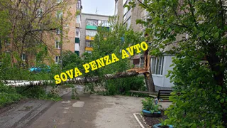 В Пензе упавшие на дорогу деревья оборвали провода