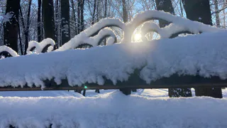 14 февраля в Рязанской области ожидается снег и до -18