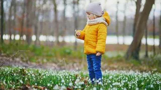 Погода: возвращение блудного тепла