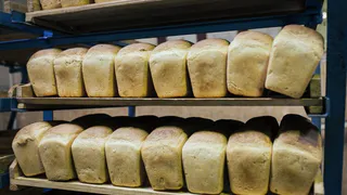 В России стремительно дорожает хлеб и другие важные продукты питания