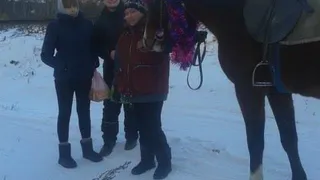 "Покатушники" в Рязани – в бизнес пришли люди, у которых забота о лошади стоит на последнем месте