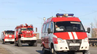 МЧС оповестило об учениях в Рязанской области