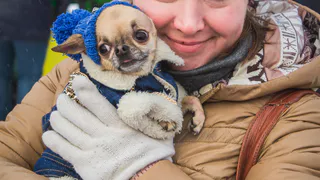 Девушки-садистки из Хабаровска побудили рязанцев выйти на пикет против живодерства