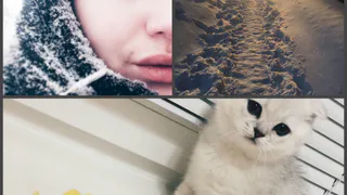 Инстаграм рязанцев: метель, заснеженная тропа и новый друг