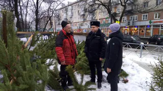 В Железнодорожном районе была проверена работа елочных базаров