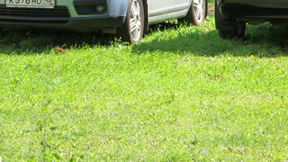 ВРИО руководителя администрации Рязани предлагает делать во дворах экопарковки