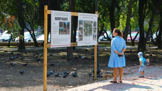 Территории для благоустройства на 2020 год в Брянске определят 12 сентября