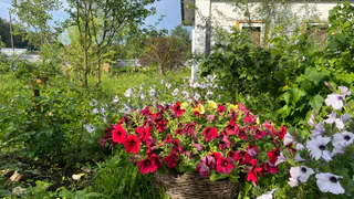 В Нижнекамске официально завершился дачный сезон