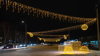 Новогодняя ночь в Нижнекамске: концерт и салют ждут гостей в парке «Семья»