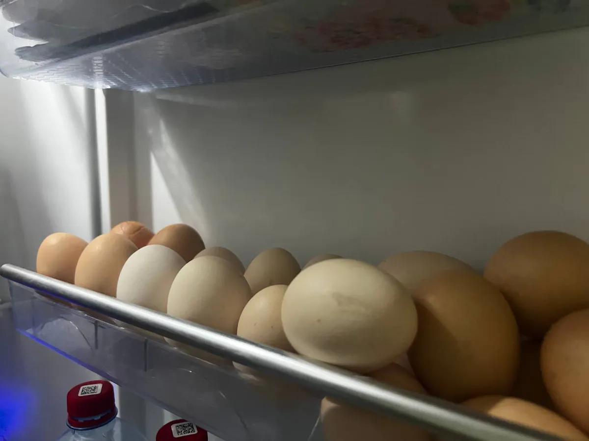 Куриные яйца не покупаю уже год: от этих 9 продуктов советуют отказаться эксперты. А мы их едим каждый день и детям даем