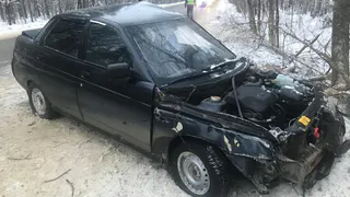 Разорвалось колесо: в Рязанской области ВАЗ врезался в дерево