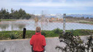 «Их просто огромное количество»: Россиянка честно рассказала о мерзких существах, которые превратили в ад ее отпуск в Абхазии