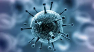 В Брянской области за сутки было подтверждено 80 случаев Covid-19