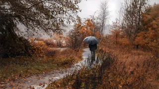 22 сентября в Рязанской области ожидается дождь и +19