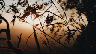 Весна распахнула свои объятия.. Прогноз погоды в Рязани до конца недели