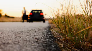 За сбитую на трассе в Петушинском районе косулю страховая заплатит 40 тысяч рублей