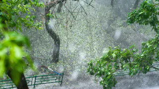 Гидрометцентр предупреждает о мокром снеге в нескольких регионах России