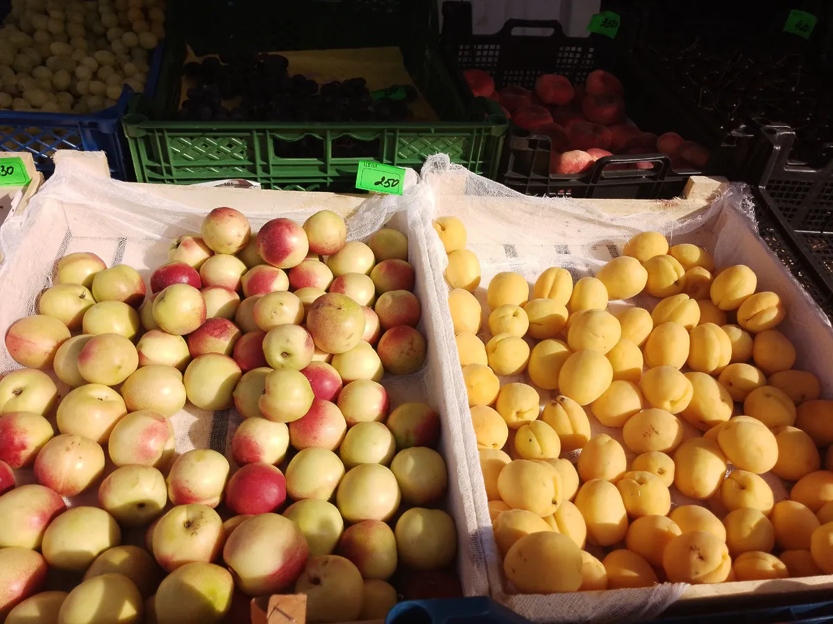 В Челябинской области разоблачили схему незаконного импорта фруктов и овощей