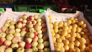 В Челябинской области разоблачили схему незаконного импорта фруктов и овощей