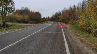 В Коми нетрезвый водитель ВАЗ лишился пассажира во время движения