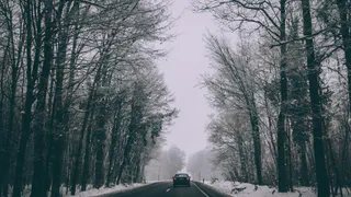 Туман продержится в Рязани до второй половины дня