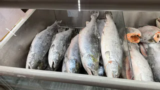 Прокуратура Татарстана взыскивает ущерб за вред биоресурсам: два дела — два нарушителя