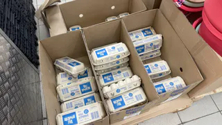 Смотрим не на категорию: яйца в магазинах нужно выбирать только так — совет от Роскачества