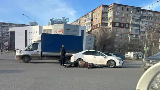 В Челябинске лошадь попала под "Тойоту" с номером 666, выбежав на красный свет светофора