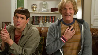 Тест: умный или не очень? Только эрудит ответит на все вопросы правильно