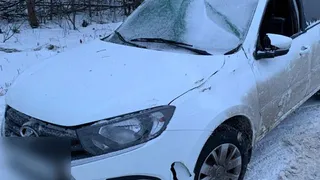 Женщина на «Гранте» вылетела в кювет под Стародубом