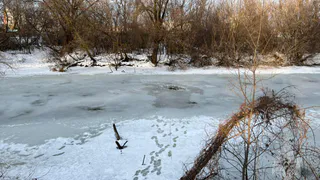 В пензенском микрорайоне Междуречье девушка  провалилась под лед