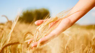 Почти 70 фермеров Рязанской области начали предлагать продукты на витрине Свое Родное