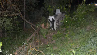 В Клепиковском районе водитель «Гранты» скончался при столкновении с лосем