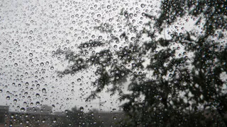 Погода в Рязани: метеорологи дали прогноз до конца лета