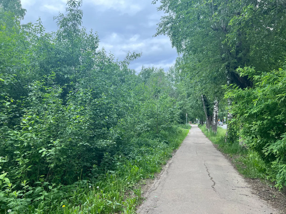 Долгожданное потепление для жителей принесет июль в Магнитогорск