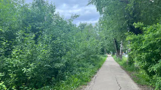 Долгожданное потепление для жителей принесет июль в Магнитогорск