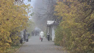 В Татарстане 3 декабря ожидается туман — МЧС призывает к бдительности