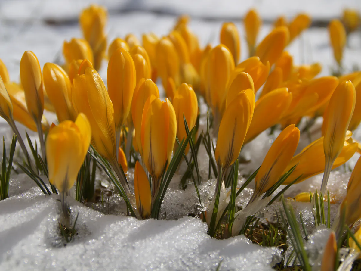 Рассказываем о том, чем заняться в ближайшее время в Нижнекамске