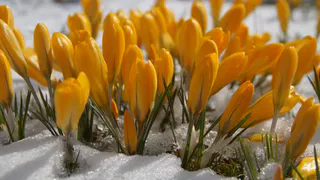 Рассказываем о том, чем заняться в ближайшее время в Нижнекамске