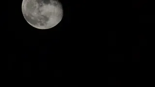 Вечером рязанцы смогут наблюдать суперлуние