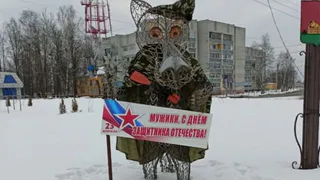 Волка на телецентре в Брянске нарядили в камуфляж и вооружили