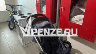 В области более 750 отцов оформили пособие по уходу за ребенком в 2025 году