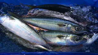 Именно эта рыба просто кишит паразитами: мы ее подаем на стол и даем детям. В ней находят 10-метровых червей