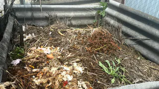 Достаточно 3 ложек на кучу — сгниют даже самые толстые ветви: как без проблем получить прекрасный компост — земля будет как хлеб