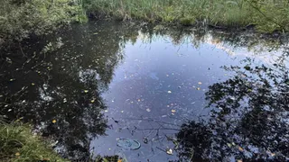 Четырёхлетний мальчик из Коврова утонул в водоёме в районе улицы Живописной