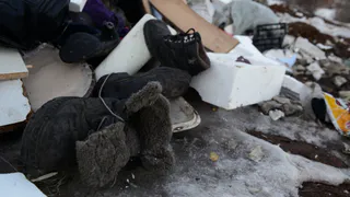 В мэрии пообещали выяснить, что за помойку организовали в Мервино